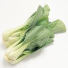 有機小青菜（青菜）