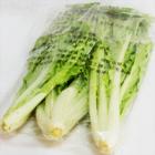 有機小白菜