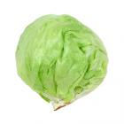 有機生菜（球生菜）