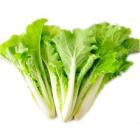 有機杭白菜 (簡裝)