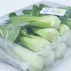 有機小青菜 (簡裝)