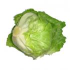 有機(jī)球生菜 (簡(jiǎn)裝)