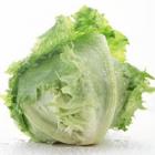 有機生菜（葉生菜）
